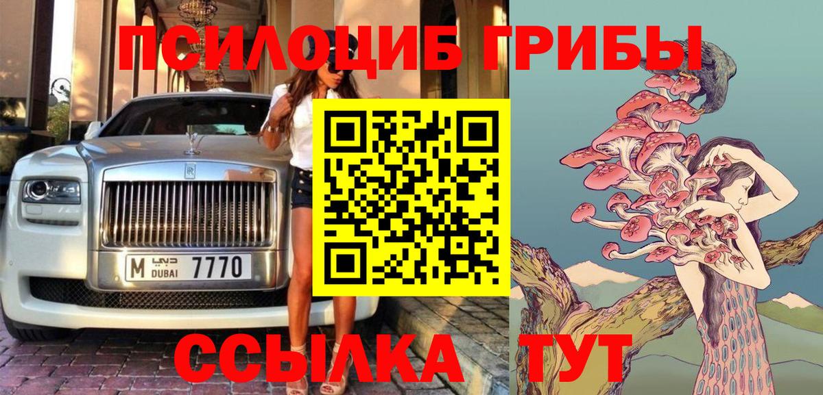 Галлюциногенные грибы Psilocybine cubensis Новокузнецк