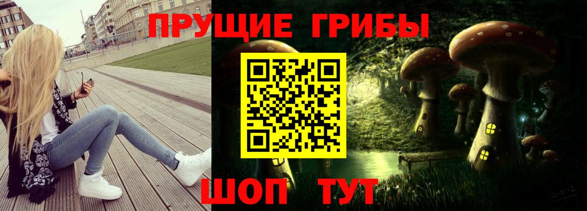 Псилоцибиновые грибы GOLDEN TEACHER  Вход с VPN  Новокузнецк 